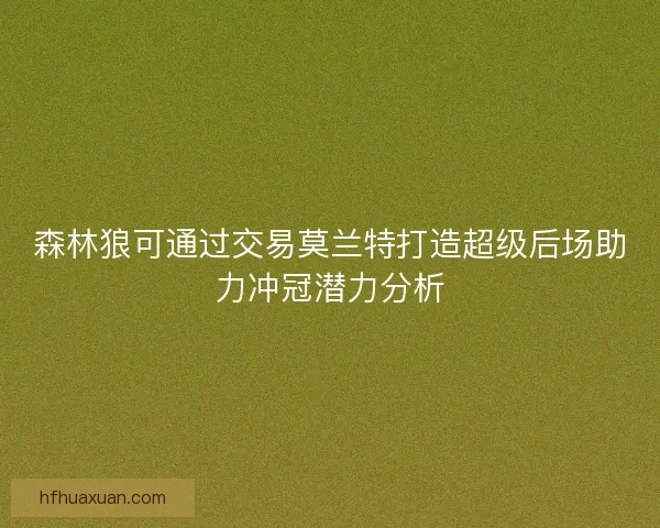 森林狼可通过交易莫兰特打造超级后场助力冲冠潜力分析